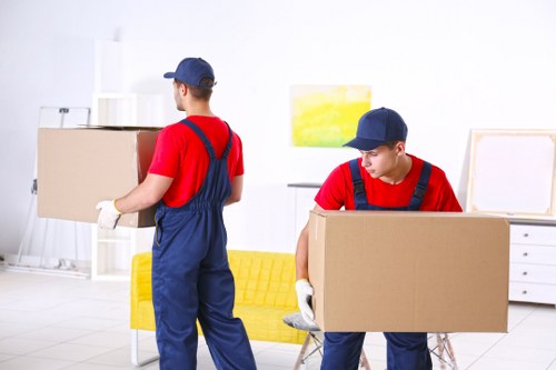 Man with van service in Richmond for local moving help