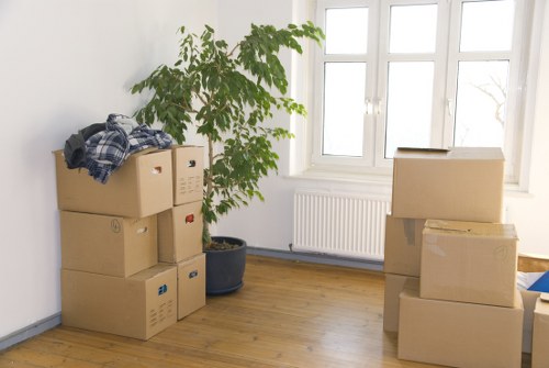 Risk assessment and packing preparation for a Richmond move